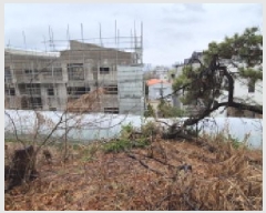  2025Ÿ62752   籸 嵿 54-13      (Ӿ)