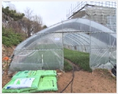  2025Ÿ62752   籸 嵿 54-13      (Ӿ)