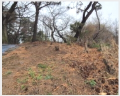  2025Ÿ62752   籸 嵿 54-13      (Ӿ)