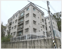  2025Ÿ62789   ϻ굿 ߻굿 16-24 ̼ 02ȣ    ټ,