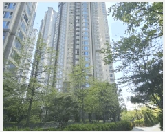  2025Ÿ62950   ϻ꼭 ź 1640 ϻλϽ 105 9903ȣ   Ʈ