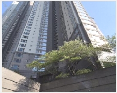  2025Ÿ62950   ϻ꼭 ź 1640 ϻλϽ 105 9903ȣ   Ʈ