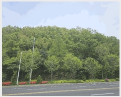  2025Ÿ62971  ֽ ݸ 14-13       (Ӿ)