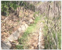  2025Ÿ62971  ֽ ݸ 14-13       (Ӿ)