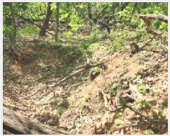  2025Ÿ62971  ֽ ݸ 14-13       (Ӿ)