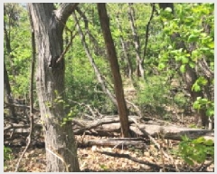  2025Ÿ62971  ֽ ݸ 14-13       (Ӿ)