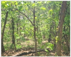  2025Ÿ62971  ֽ ݸ 14-13       (Ӿ)