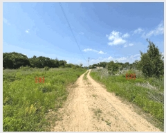  2025Ÿ63053  ֽ  ĸ 358-10      (Ӿ)