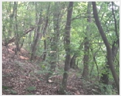  2025Ÿ63175  ֽ   109      (Ӿ)