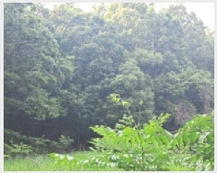  2025Ÿ63175  ֽ   109      (Ӿ)