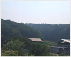  2025Ÿ63175  ֽ   109      (Ӿ)