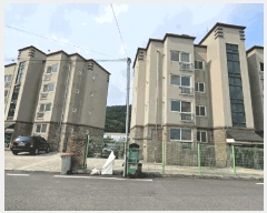  2025Ÿ63377  ֽ  ǳ 335-31 101 4401ȣ    ټ,