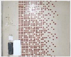  2025Ÿ��63412  ����Ʈ���