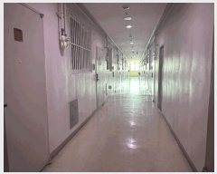  2025Ÿ��63750  ���ǽ��ڰ��