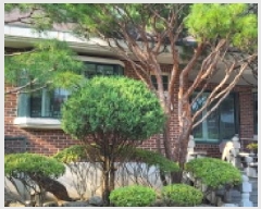  2025Ÿ��63778  ���ð��