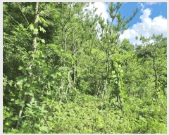  2025Ÿ��63822 ��� ����� ���籸 ��ε� 12-1      ����(�Ӿ�)���