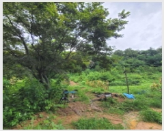  2025Ÿ��63822 ��� ����� ���籸 ��ε� 12-9      ����(��1)���