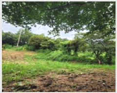  2025Ÿ��63822 ��� ����� ���籸 ��ε� 12-9      ����(��1)���