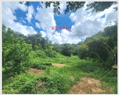  2025Ÿ��63822 ��� ����� ���籸 ��ε� 12-1      ����(�Ӿ�)���