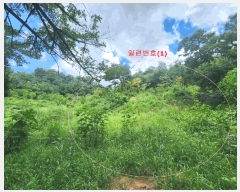  2025Ÿ��63822 ��� ����� ���籸 ��ε� 12-1      ����(�Ӿ�)���