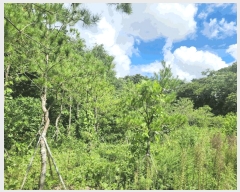  2025Ÿ��63822 ��� ����� ���籸 ��ε� 12-1      ����(�Ӿ�)���