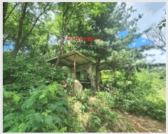  2025Ÿ��63822 ��� ����� ���籸 ��ε� 12-1      ����(�Ӿ�)���