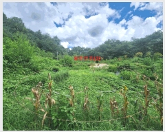  2025Ÿ��63822 ��� ����� ���籸 ��ε� 12-1      ����(�Ӿ�)���