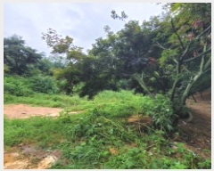  2025Ÿ��63822 ��� ����� ���籸 ��ε� 12-1      ����(�Ӿ�)���