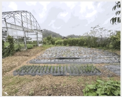  2025Ÿ��64132  ������