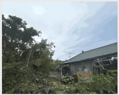  2025Ÿ��64218  �������