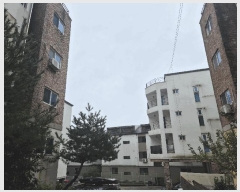  2025Ÿ��64282  �ټ���(����)���