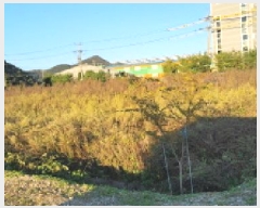  2025Ÿ��64405 ��� ���ֽ� ��ź�� â���� 1206      ����(��)���