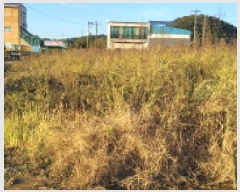  2025Ÿ��64405 ��� ���ֽ� ��ź�� â���� 1206      ����(��)���