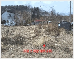  2025Ÿ��65222  ����