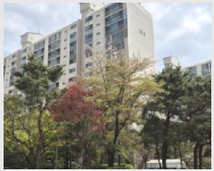  2025Ÿ��1814 ��� ����� ���籸 ȭ���� 870 ������������Ʈ 524�� 1��104ȣ   ����Ʈ���