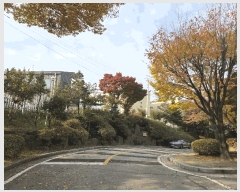  2025Ÿ��6161  ���ǽ��ڰ��