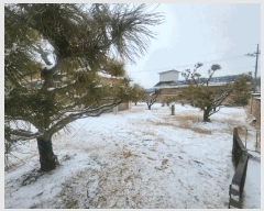  2025Ÿ��61045  �����