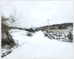  2025Ÿ��61045  �������