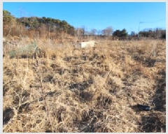  2025Ÿ61854  ֽ  絿 658-2      ð