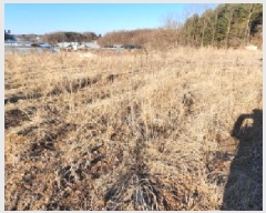  2025Ÿ61854  ֽ  絿 658-2      ð