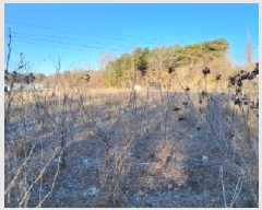  2025Ÿ61854  ֽ  絿 658-2      ð