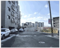  2025Ÿ��62419  �ټ���(����)���