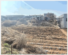  2025Ÿ��62523  �����