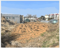  2025Ÿ��62523  �����