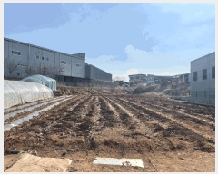  2025Ÿ��62523  �����