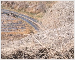  2025Ÿ��62523  �����