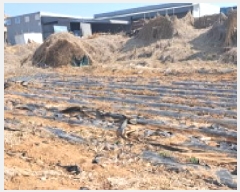  2025Ÿ��62523  �����