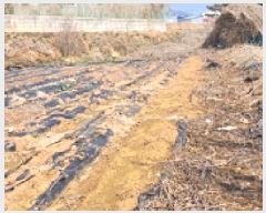  2025Ÿ��62523  �����