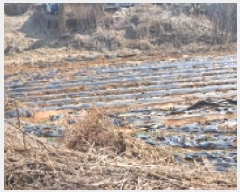  2025Ÿ��62523  �����