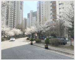  2025Ÿ��62790 ��� ����� �ϻ굿�� �߻굿 1800 �ϴø��� 505�� 5��501ȣ   ����Ʈ���